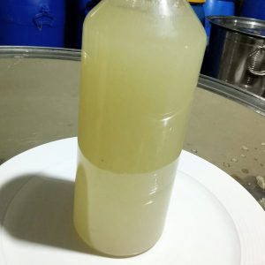 Garden Fresh Aloevera Juice directly from Farmer